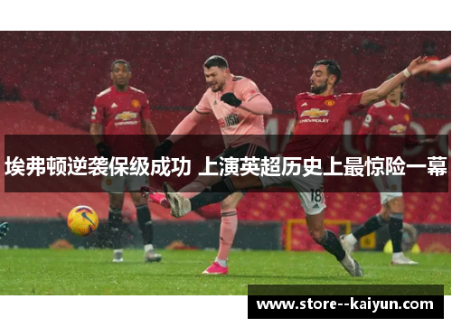 埃弗顿逆袭保级成功 上演英超历史上最惊险一幕